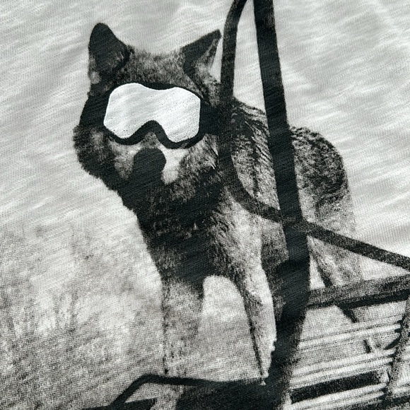 GAP Boys Metallic Skiing Winter Sports Seek Adventure Shirt size 12 - Picture 3 of 5